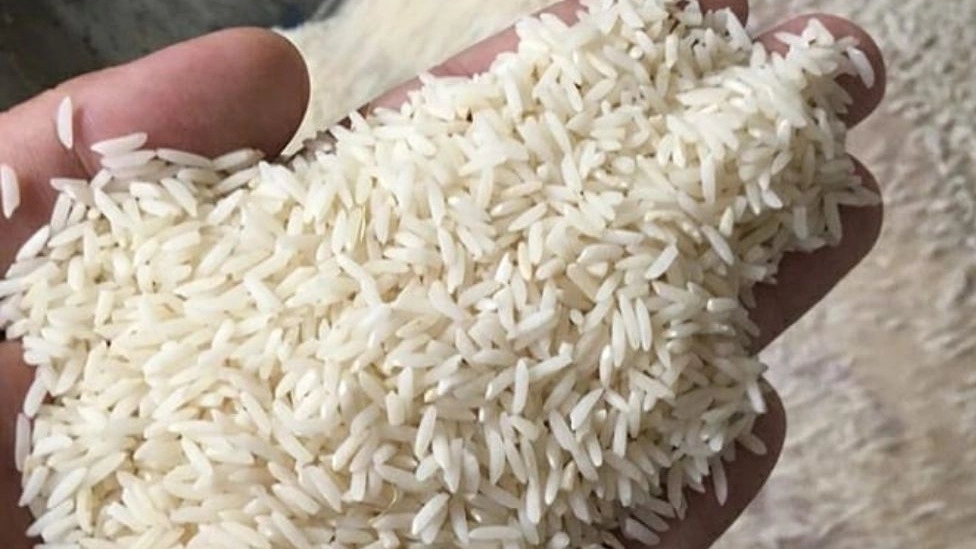 آشنایی با نحوه کار شالیکوبی