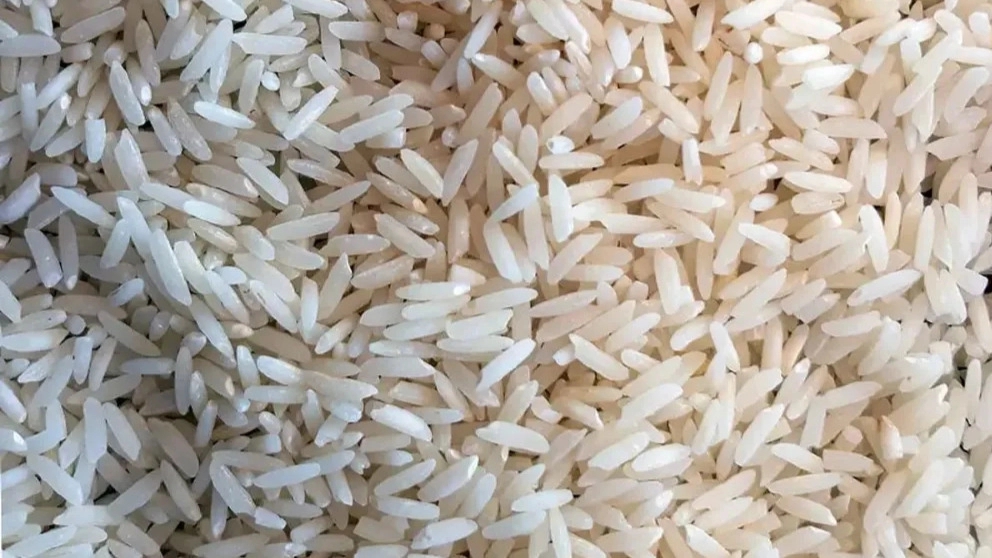 معیارهای یک برنج مرغوب