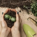 خدمات باغبانی و زراعی خدابخش ،اجرای خدمات شخم زنی سمپاشی آبیاری در قزوین