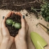 خدمات باغبانی و زراعی خدابخش ،اجرای خدمات شخم زنی سمپاشی آبیاری در قزوین