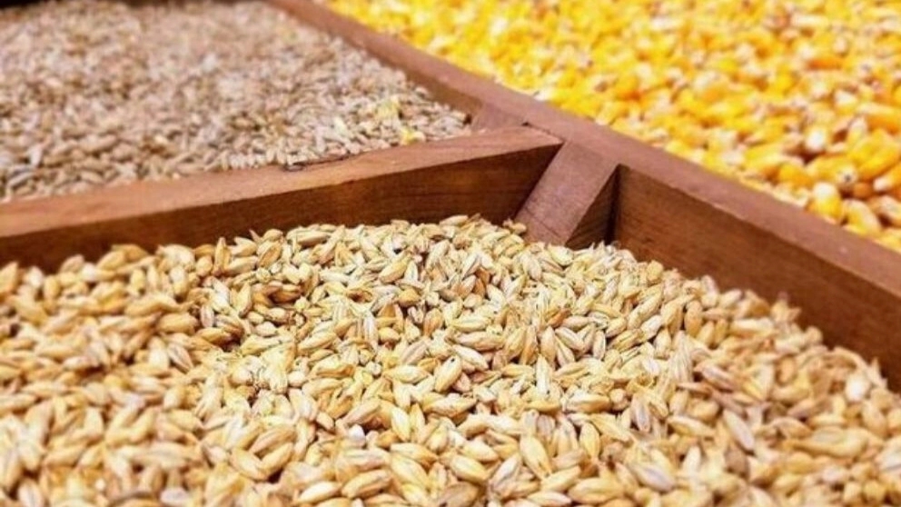 نهاده های دامی طاهر،خرید و فروش سبوس کاه گندم جو در گلستان