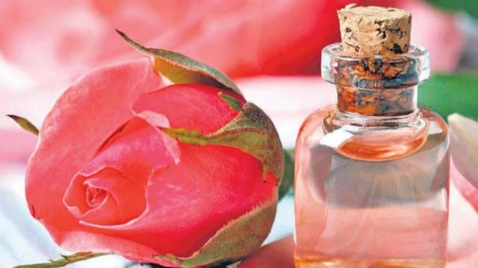 چگونگی تشخیص گلاب اصل از تقلبی