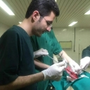 دامپزشکی دکتر پیمان رحیم نژاد در سقز