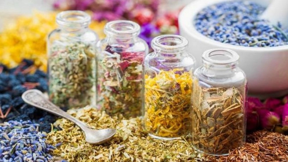 گیاهان دارویی به چه گیاهی می گویند ؟