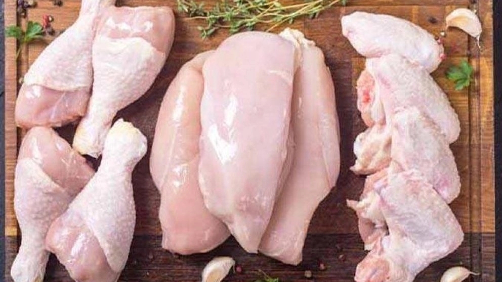 پخش مرغ کشتار روز مطوری