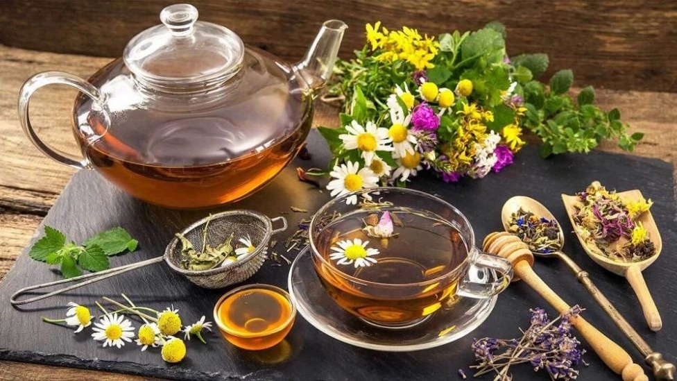 روش صحیح مصرف داروهای گیاهی