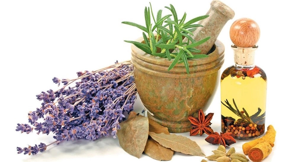 روش صحیح مصرف داروهای گیاهی