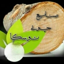 صنایع چوب توسکا،تولید و فروش چوب روسی و ایرانی در مشهد