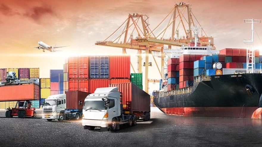 ترخیص کار کیست و در فرآیند ترخیص چه کاری انجام می دهد؟
