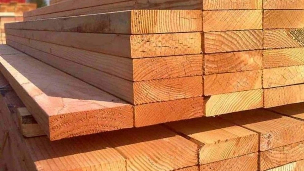 راهنمای شناخت کامل چوب روسی