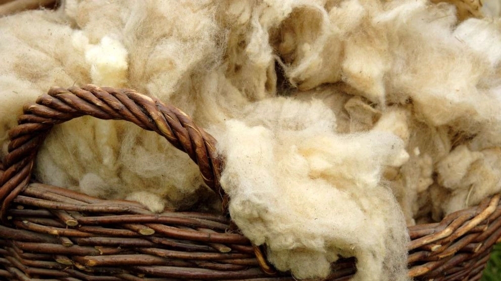 الیاف پشم چیست و چه کاربردی دارد؟