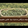 بازرگانی هاشم مطوری در خرمشهر