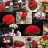 گل فروشی و گل آرایی گل نسترن در مشهد خراسان رضوی