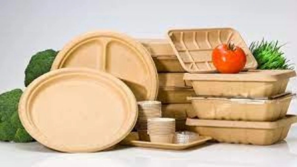 انواع ظروف یک بار مصرف