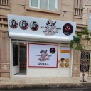 بازرگانی ابزار اقتداری، پرسلانبر گرانيت بر سرامیک بر گوریل در تهران