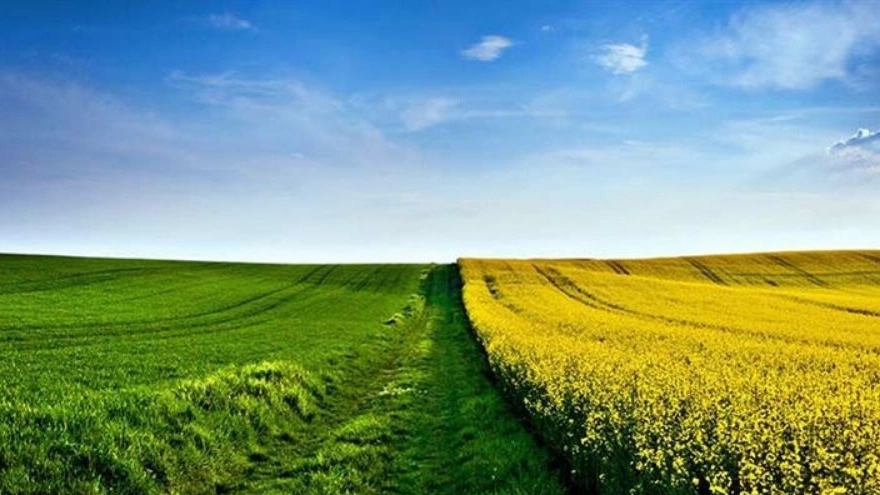 سوغات دختر شمالی در بابل مازندران