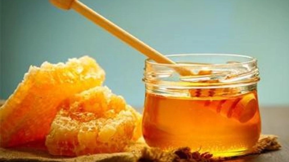 عسل کاوسی تولید و فروش عسل ارگانیک و اصل در خوزستان