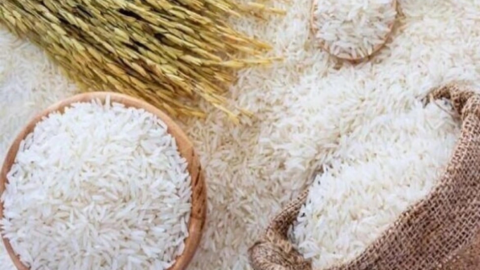 انواع برنج هاشمی