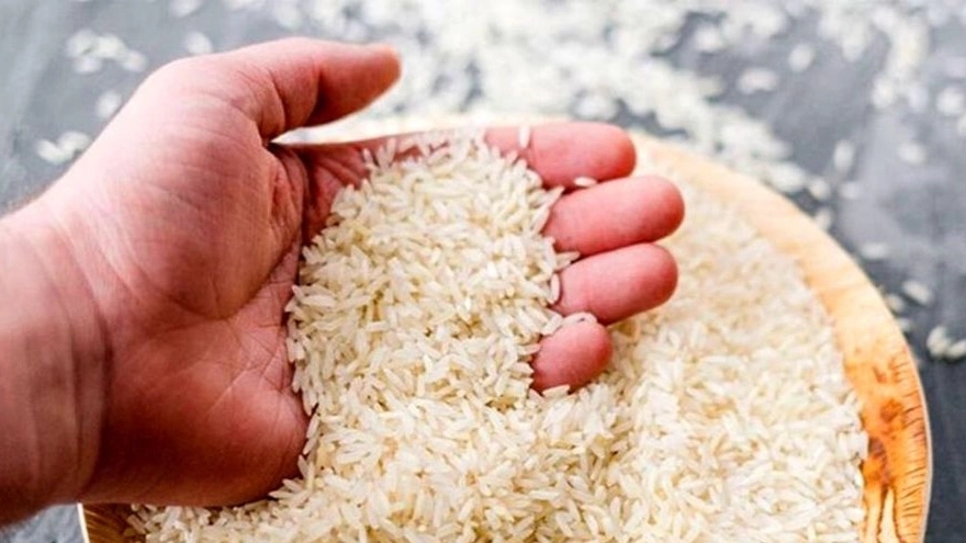 برنج تمیشه گلستان، فروش برنج طارم هاشمی در کردکوی گلستان