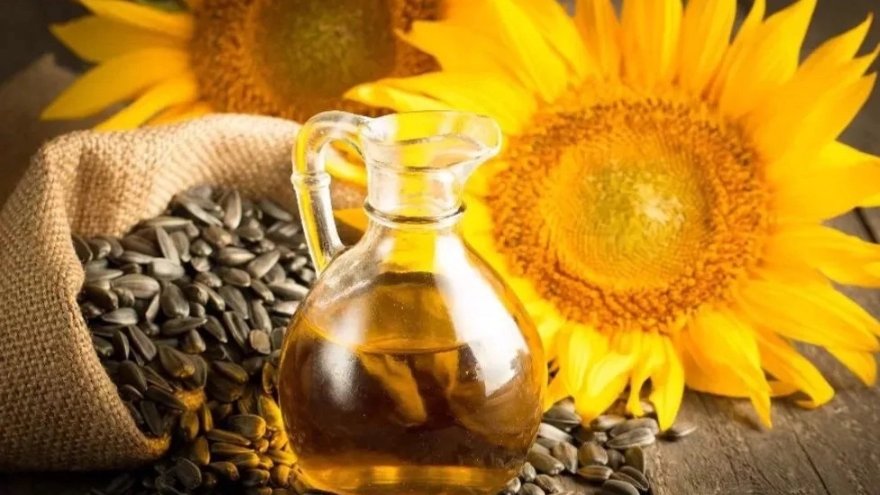 حکمت، روغن و کره گیری انواع مغزها ودانه ها در رشت
