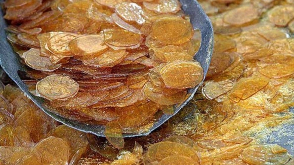 شناخت انواع پولکی و طرز نگهداری آنها