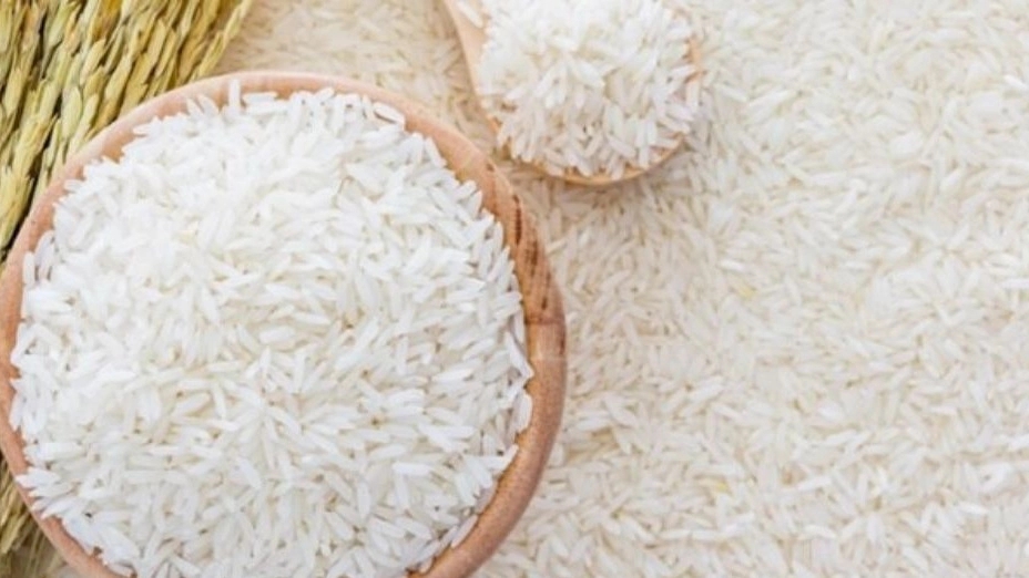برنج خدادادی ، فروش برنج فجر دم سیاه در علی آباد گلستان