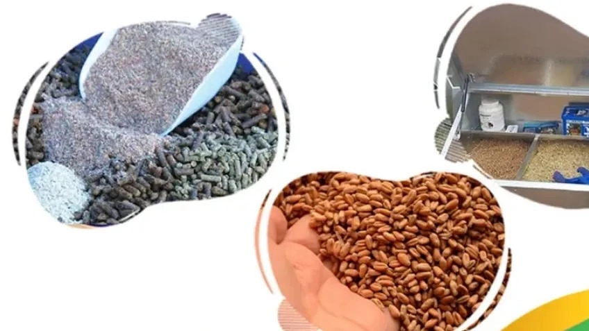 بهترین جیره غذایی اسب
