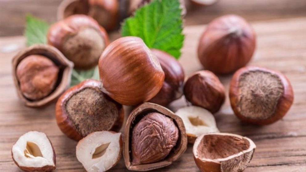 خشکبار چیست و به چه محصولاتی خشکبار میگوییم؟