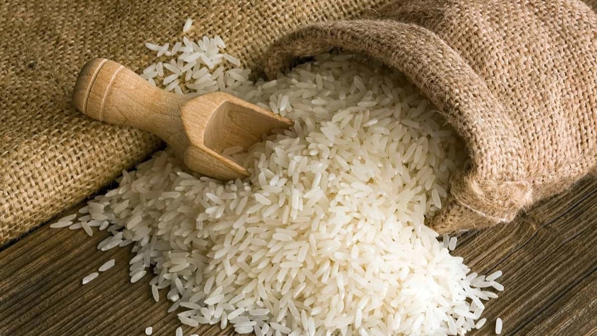 برنج قزل سفلی ، تولید و فروش برنج دم سیاه و فجر در مینودشت گلستان