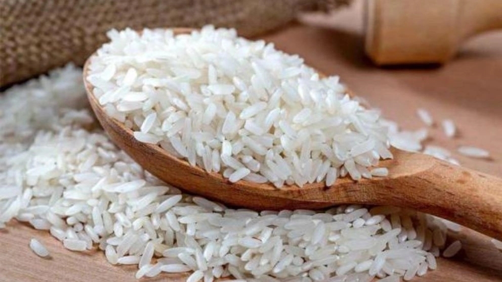 بهترین راهنمای خرید برنج فجر