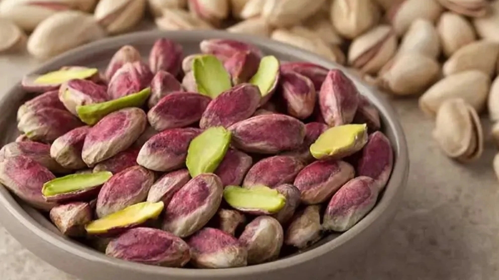 اندیشه گستران خلاق، واردات ماشینهای سنگین و صادرات محصول