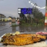 کباب سرای فؤاد در آستانه