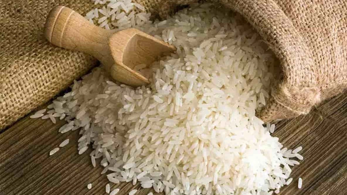 برنج عباسی، فروش برنج عنبربو کافیروز در شیراز