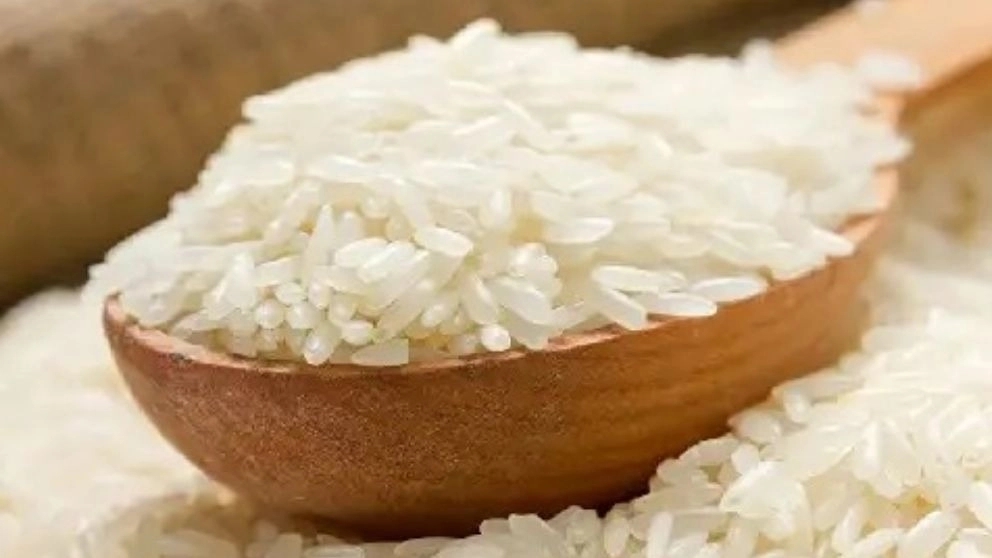 برنج کامفیروزی