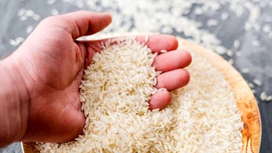 برنج دودی هاشمی