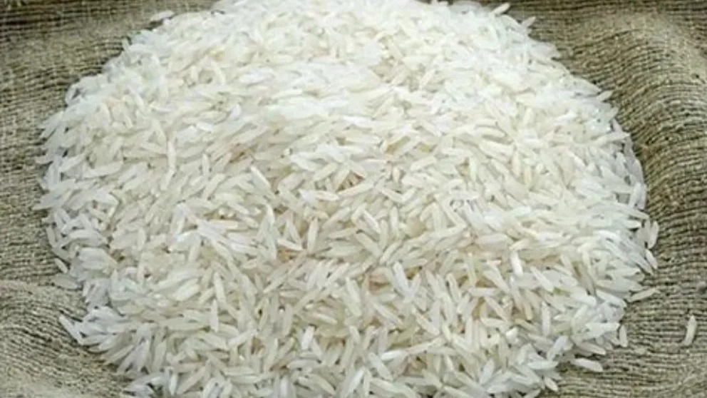 فروشگاه عزیزی ، فروش برنج طارم شیرودی در بابلسر