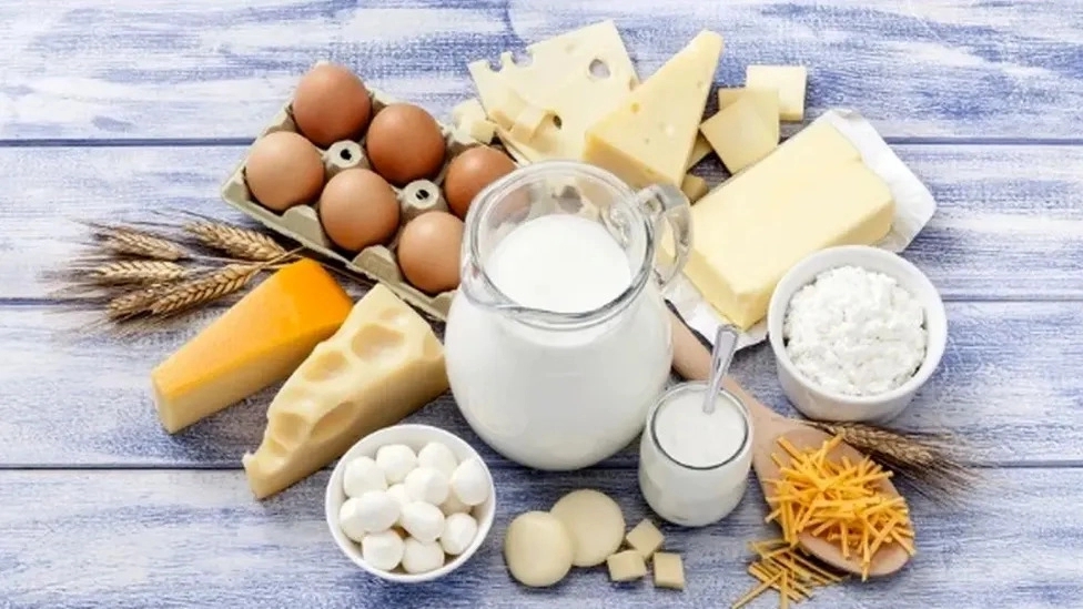 لبنیات دیلم ،فروش و پخش لبنیات سنتی در رشت