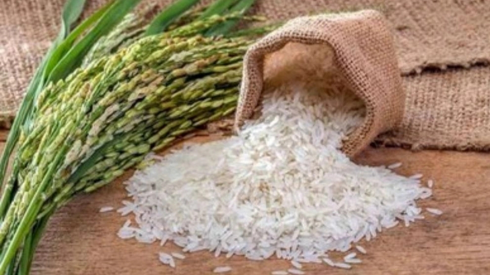 نکات مهم در خرید برنج معطر