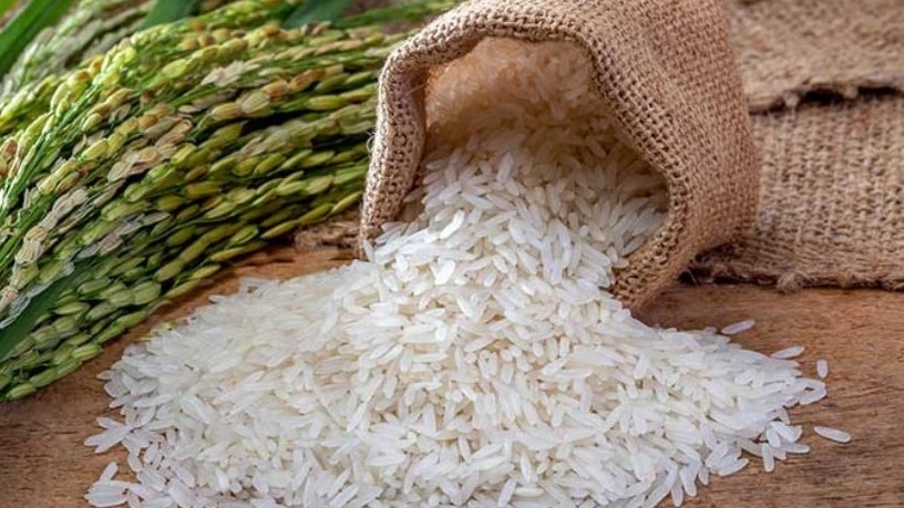 خصوصیات و ویژگی های برنج فجر
