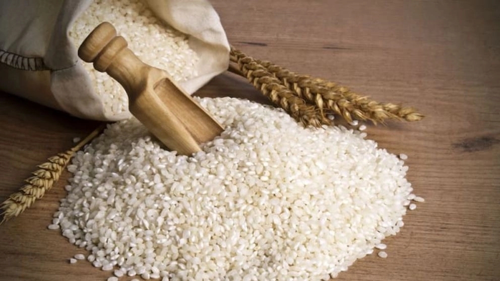 برنج ریاحی، تولید و فروش برنج عنبربو در شیراز