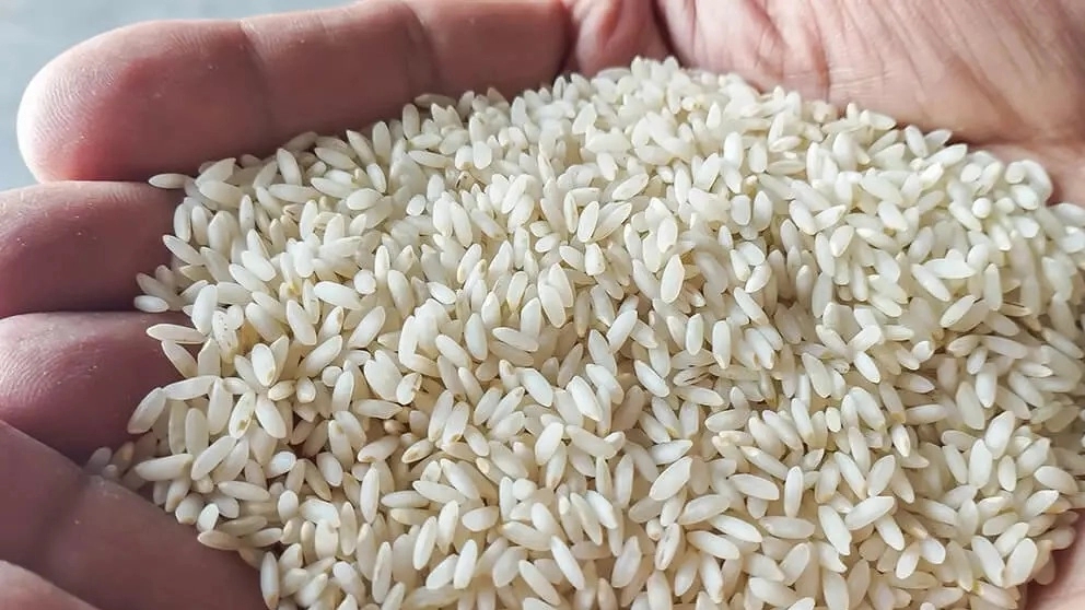 خواص برنج عنبربو