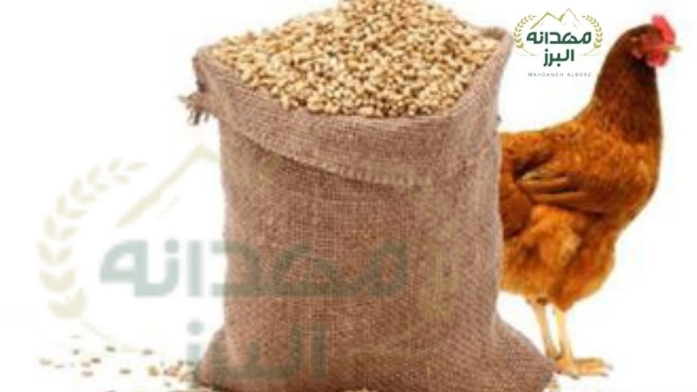 فروش انواع دان مرغی