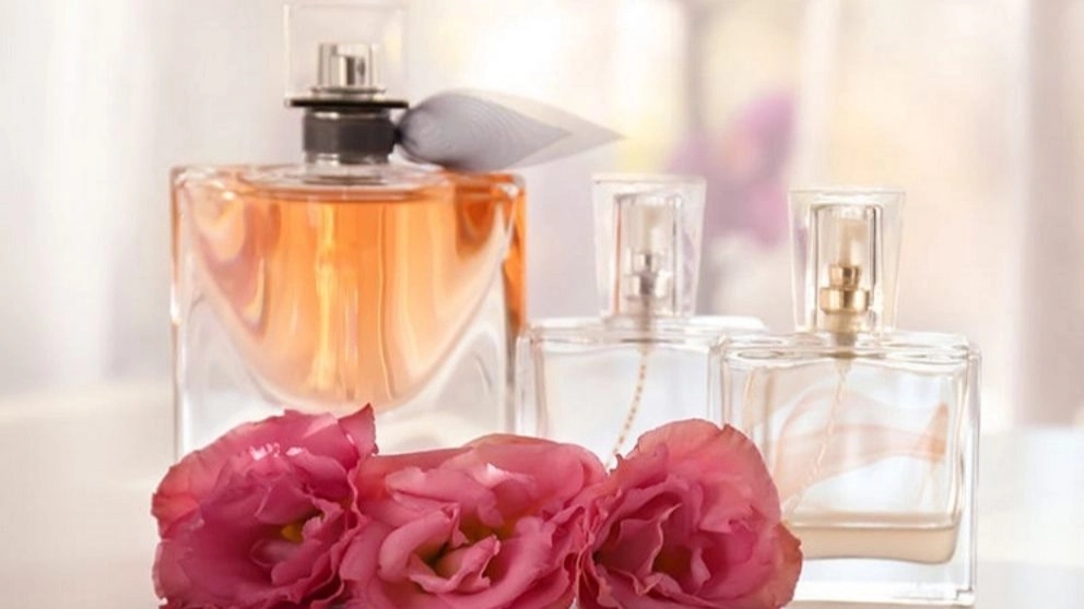 زارع پرفیوم ، فروش عمده عطر و ادکلن برند در بندر گناوه