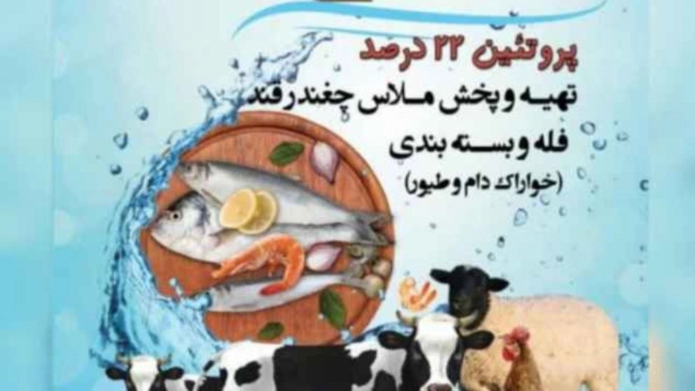 ویناس و ملاس چغندر، پخش انواع خوراک دام و طیور و آبزیان فتحی در قزوین