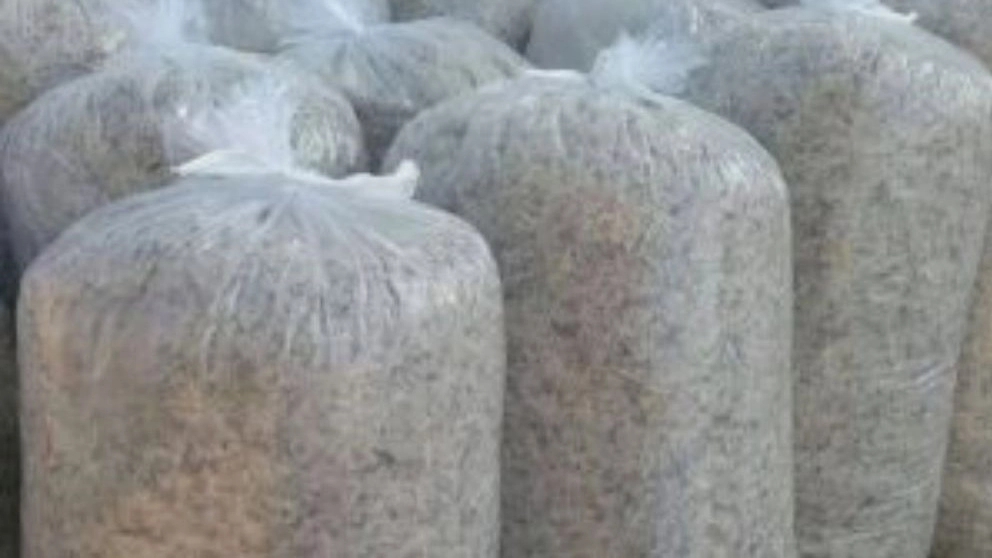 بهترین خوراک طیور