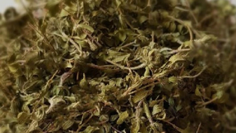 گیاهان دارویی شیبانی، فروش عمده گیاه آویشن و بابونه در شیراز