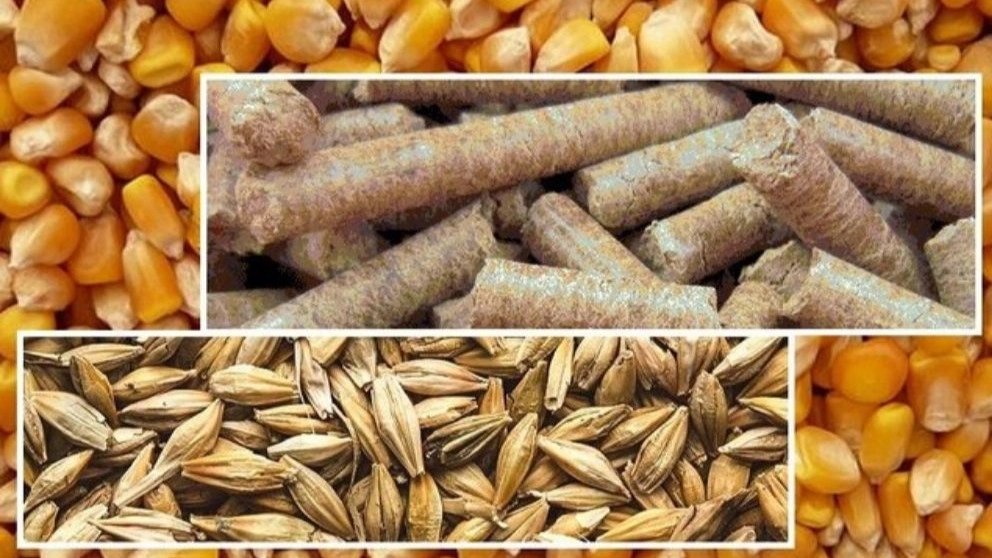 اجزاء اصلی خوراک کامل دام و طیور