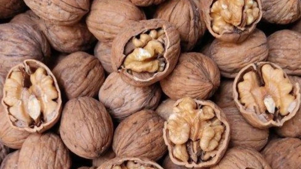 ۸ خاصیت شگفت انگیز گردو برای مغز
