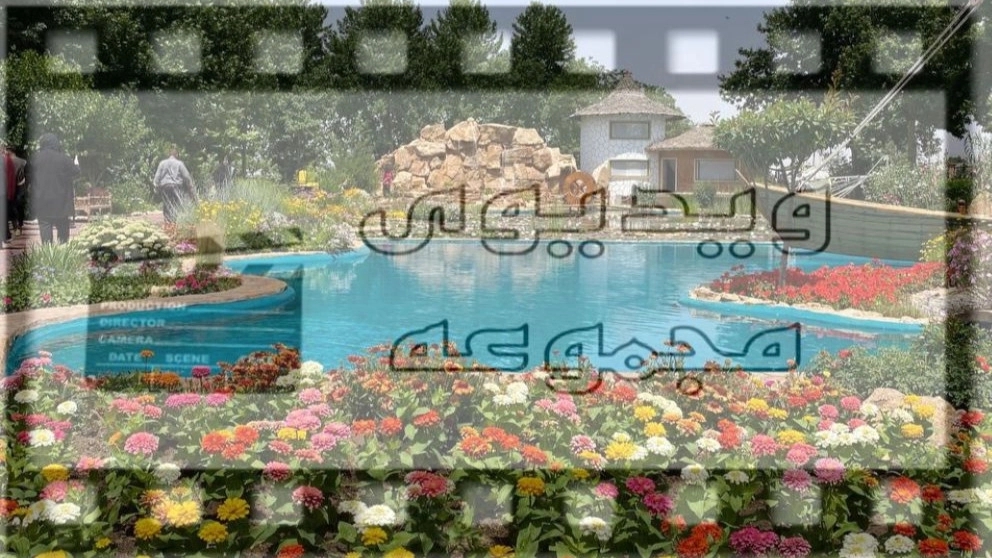ویدیوهای باغ عکاسی زردپر در هشتگرد