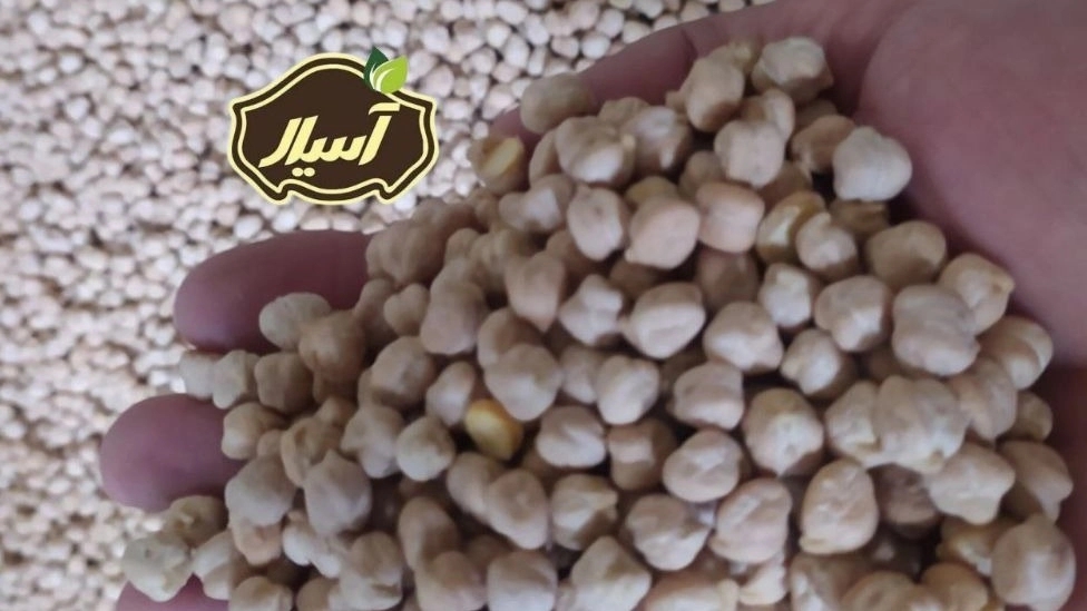 عرضه بهترین نخود آبگوشتی فله ویژه محرم